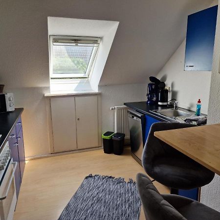 Rosindell Brunnenhaus Apartment Halle  Ngoại thất bức ảnh